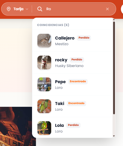 Vista del nuevo buscador en la plataforma